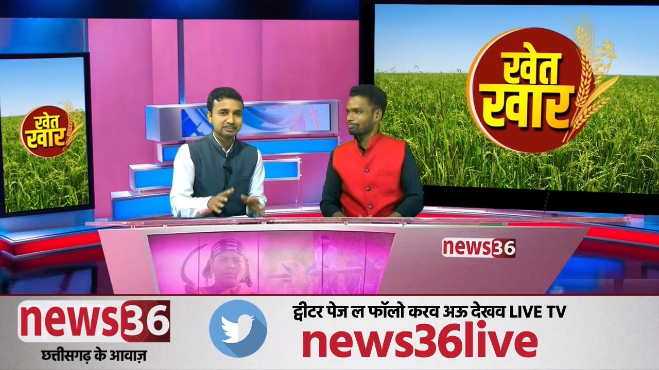news 36