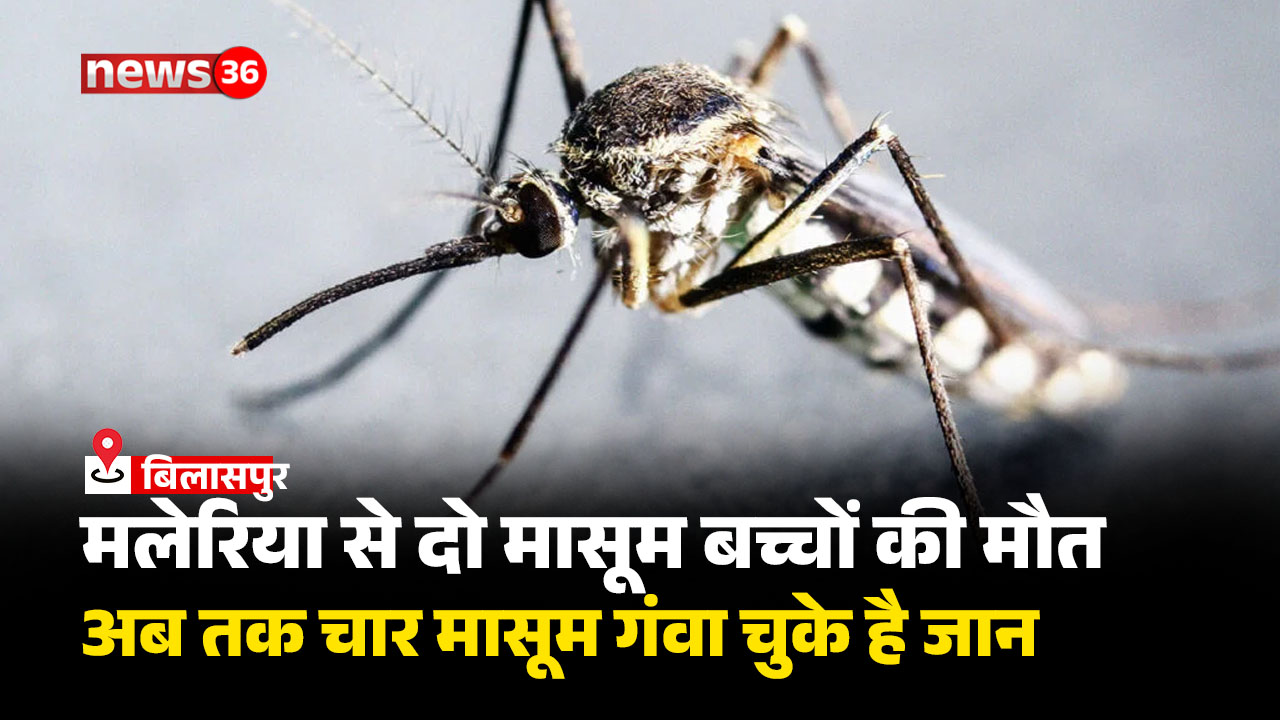 Chhattisgarh News : मलेरिया से दो मासूम बच्चों की मौत, अब तक चार मासूम गंवा चुके है जान