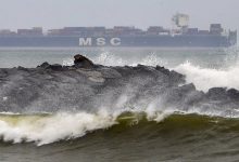 फ्लाइट्स