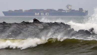 फ्लाइट्स