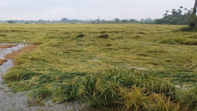 चक्रवात