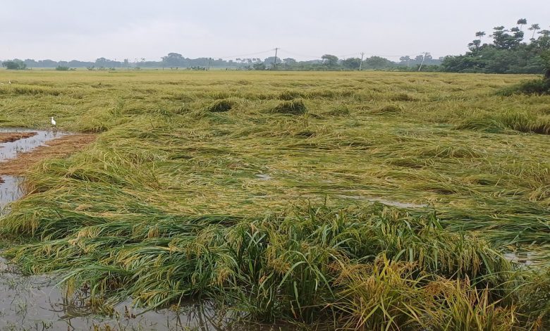 चक्रवात