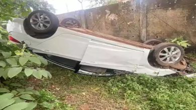 मवेशियों