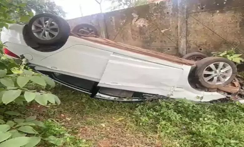 मवेशियों