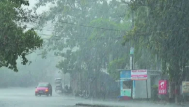 छत्तीसगढ़