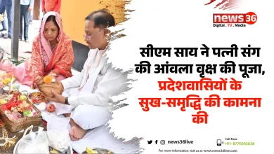 तुलसी विवाह