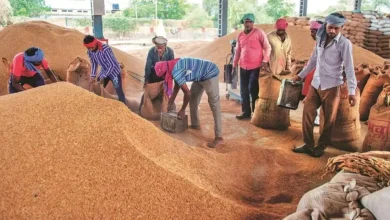 धान खरीदी
