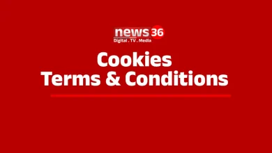 Cookies, Terms & Conditions