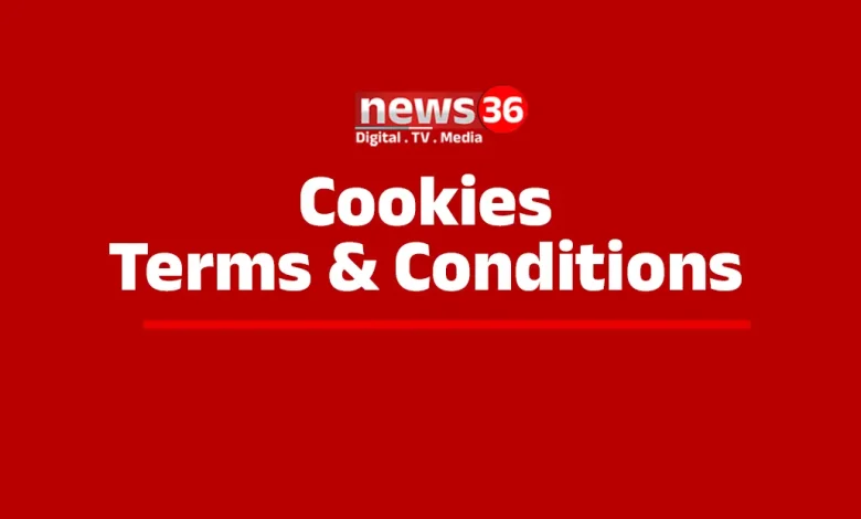 Cookies, Terms & Conditions