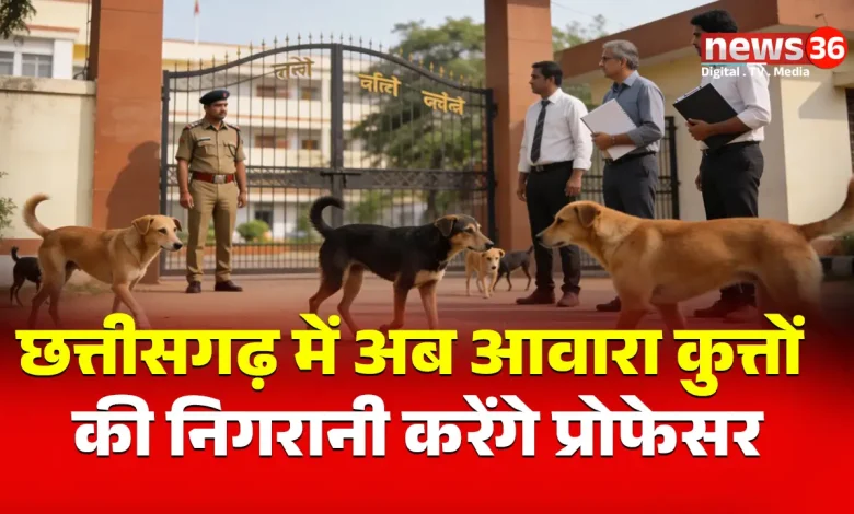 कॉलेज-यूनिवर्सिटी में आवारा कुत्तों की निगरानी करेंगे प्रोफेसर