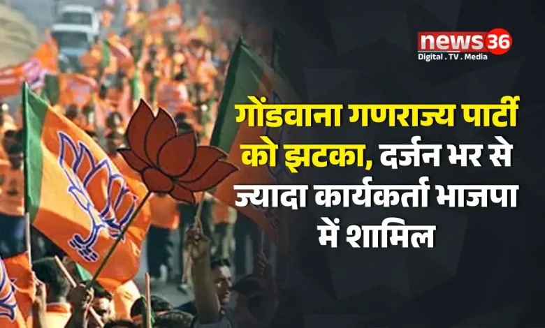 गोंडवाना गणराज्य पार्टी