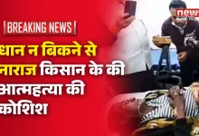 कोरबा, धान खरीदी