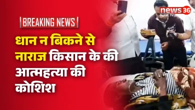 कोरबा, धान खरीदी