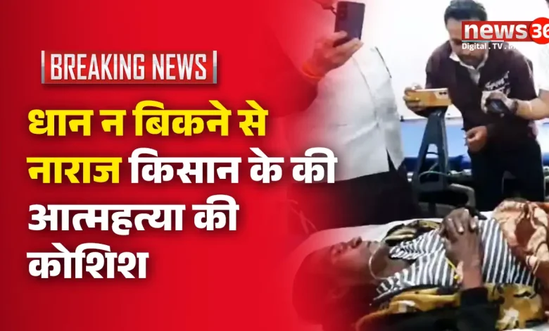 कोरबा, धान खरीदी