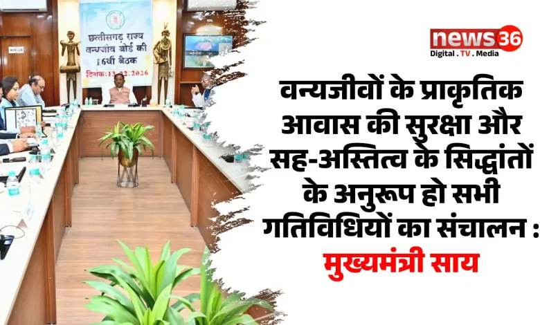 मुख्यमंत्री साय