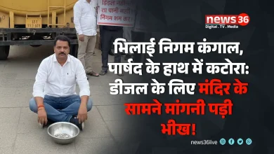 भिलाई निगम