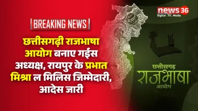 CG Rajbhasha Aayog, Chhattisgarh Rajbhasha Aayog