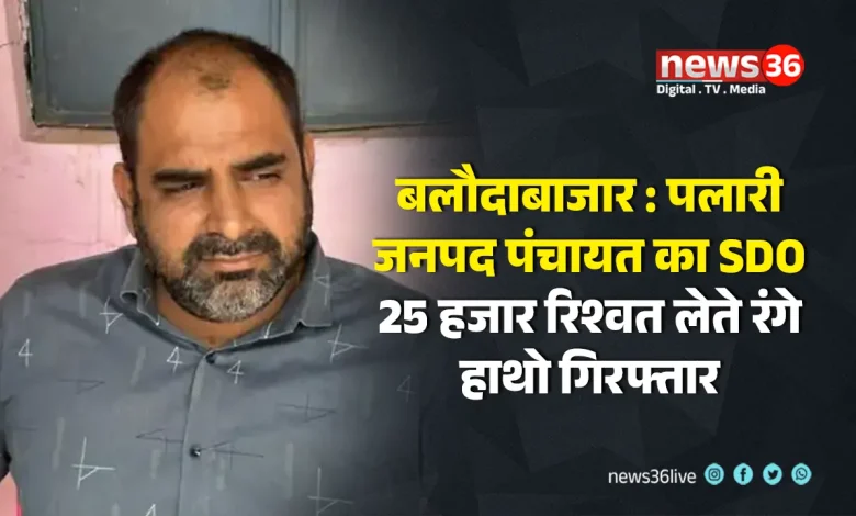 पलारी जनपद पंचायत