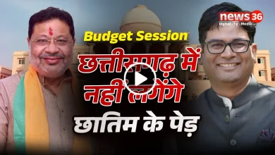 छत्तीसगढ़ में नहीं लगेंगे बीमारी फैलाने वाले छातिम के पेड़