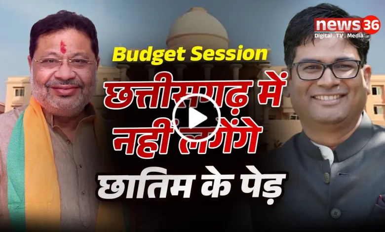 छत्तीसगढ़ में नहीं लगेंगे बीमारी फैलाने वाले छातिम के पेड़