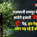 डेविल ट्री