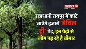 डेविल ट्री