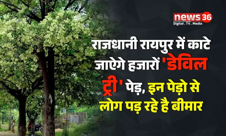 डेविल ट्री